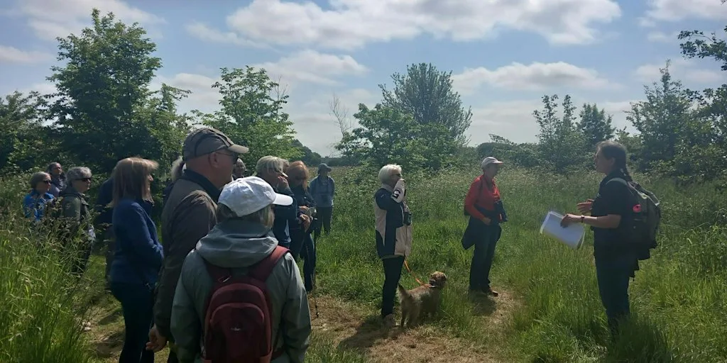 Discover the Magic of Martlesham Wilds at Martlesham Wilds