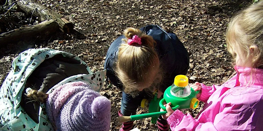 Fingringhoe bug and butterfly hunt at Fingringhoe Wick Nature Discovery Park