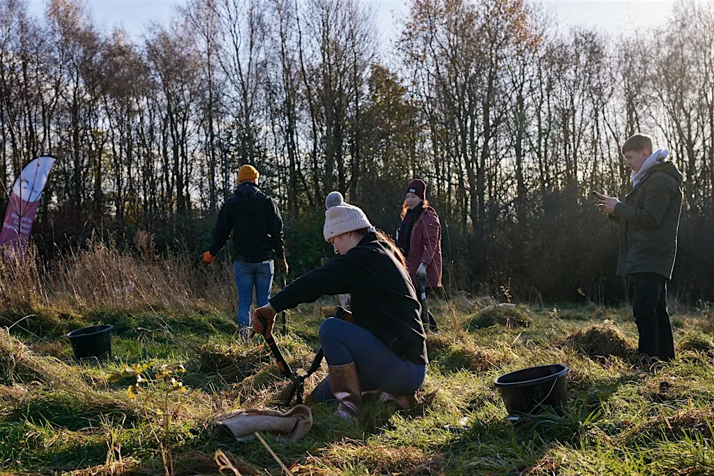 Citizen Forester Tree Maintenance at Westhoughton Central Park, Bolton at Westhoughton Central Park