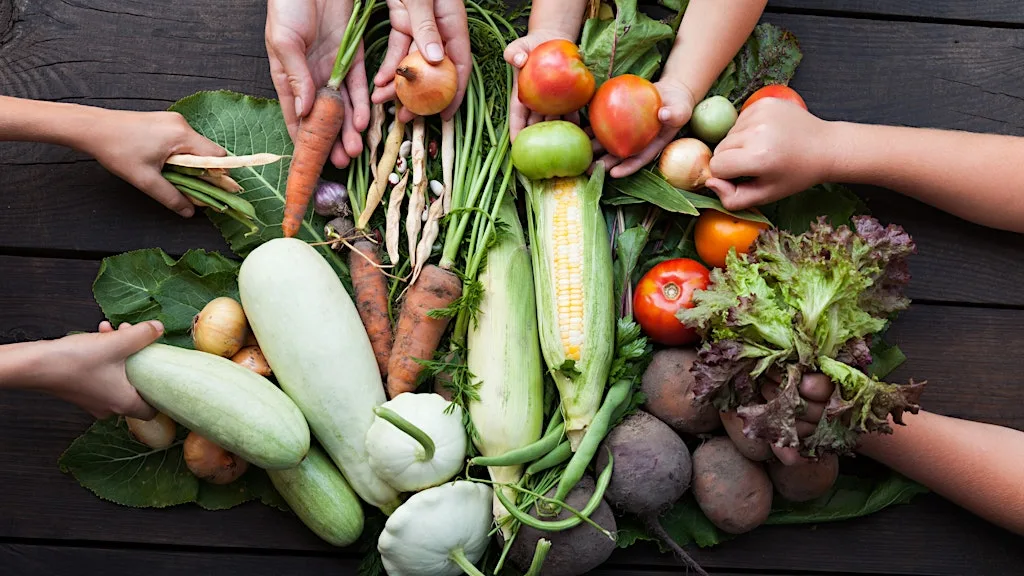 Hands-On Food for a Sustainable Cork with Cork Food Policy Council at St. Peter's
