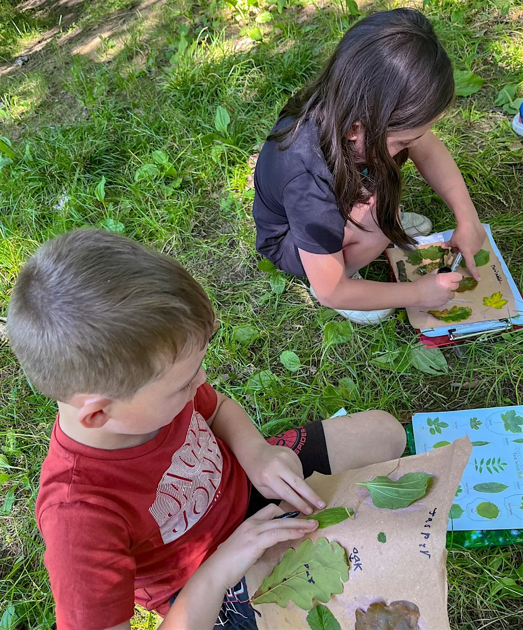 Young Gardeners. Space to Grow! at Bowshaw Views, Roots Allotments Site