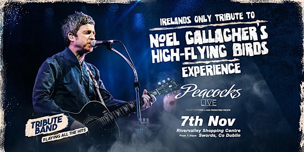 Noel Gallagher’s High Flying Birds Experience, Swords, Dublin