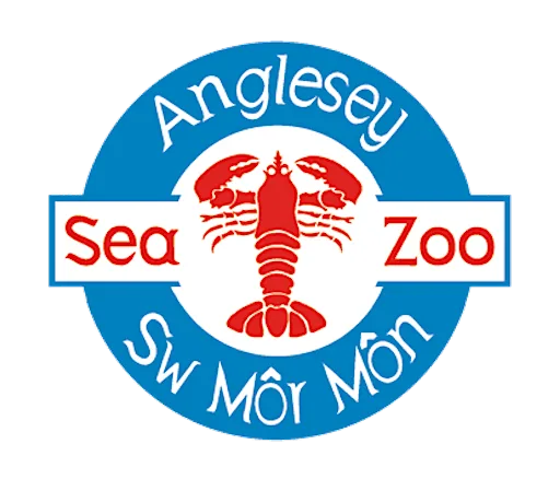 Beach clean and shore safari with Anglesey Sea Zoo