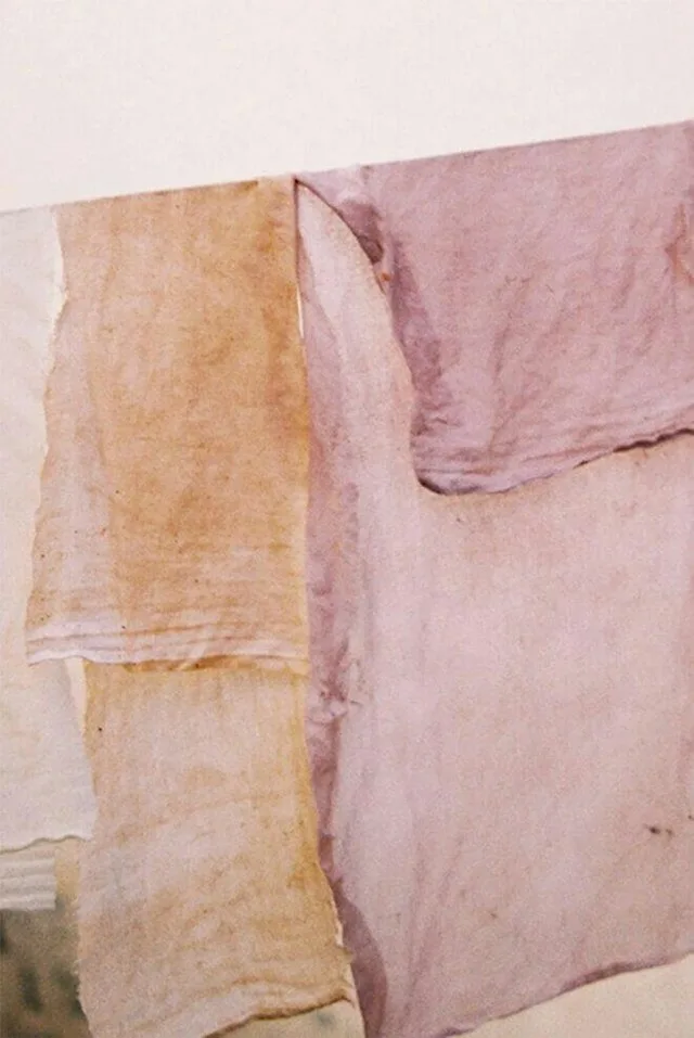 Introduction to Natural Dyes Workshop