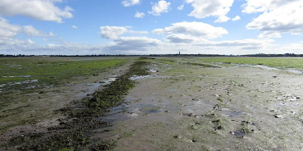 Journey To The Centre Of The Mud at Montrose Basin - Old Mill Car Park