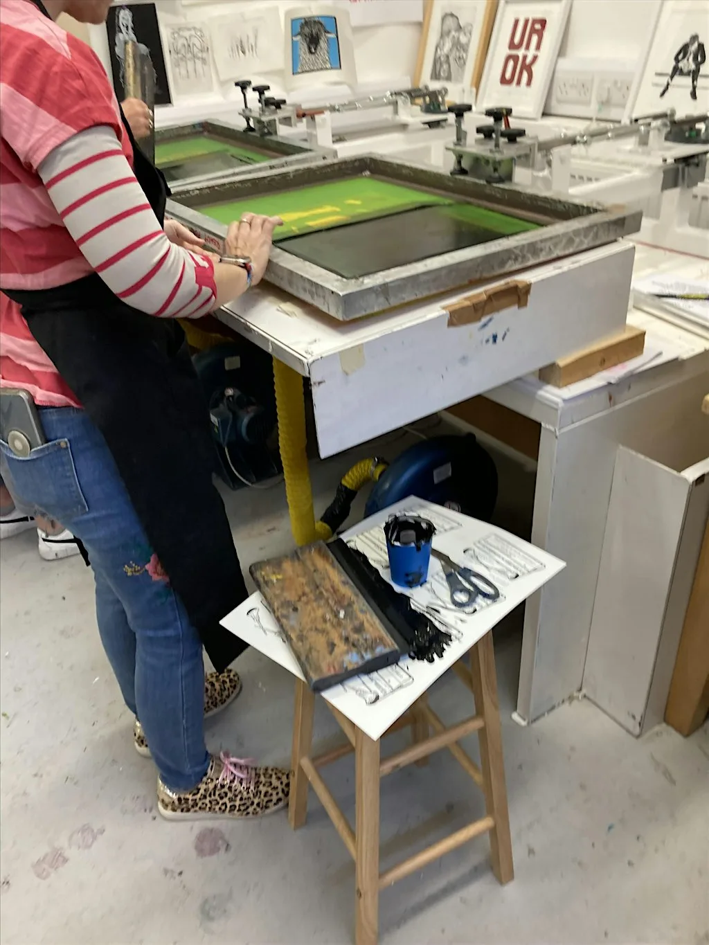 One Day Class: An Intro to Screenprinting Class with Naomi Arbuthnot at Derry Print Workshop