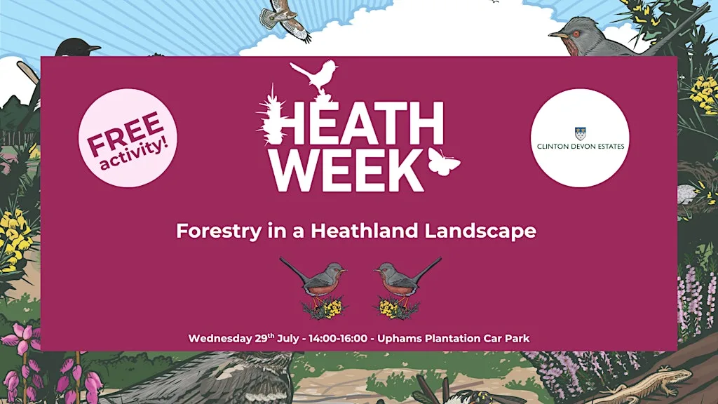Heath Week 2026: Forestry in the Heathland Landscape at Uphams Car Park
