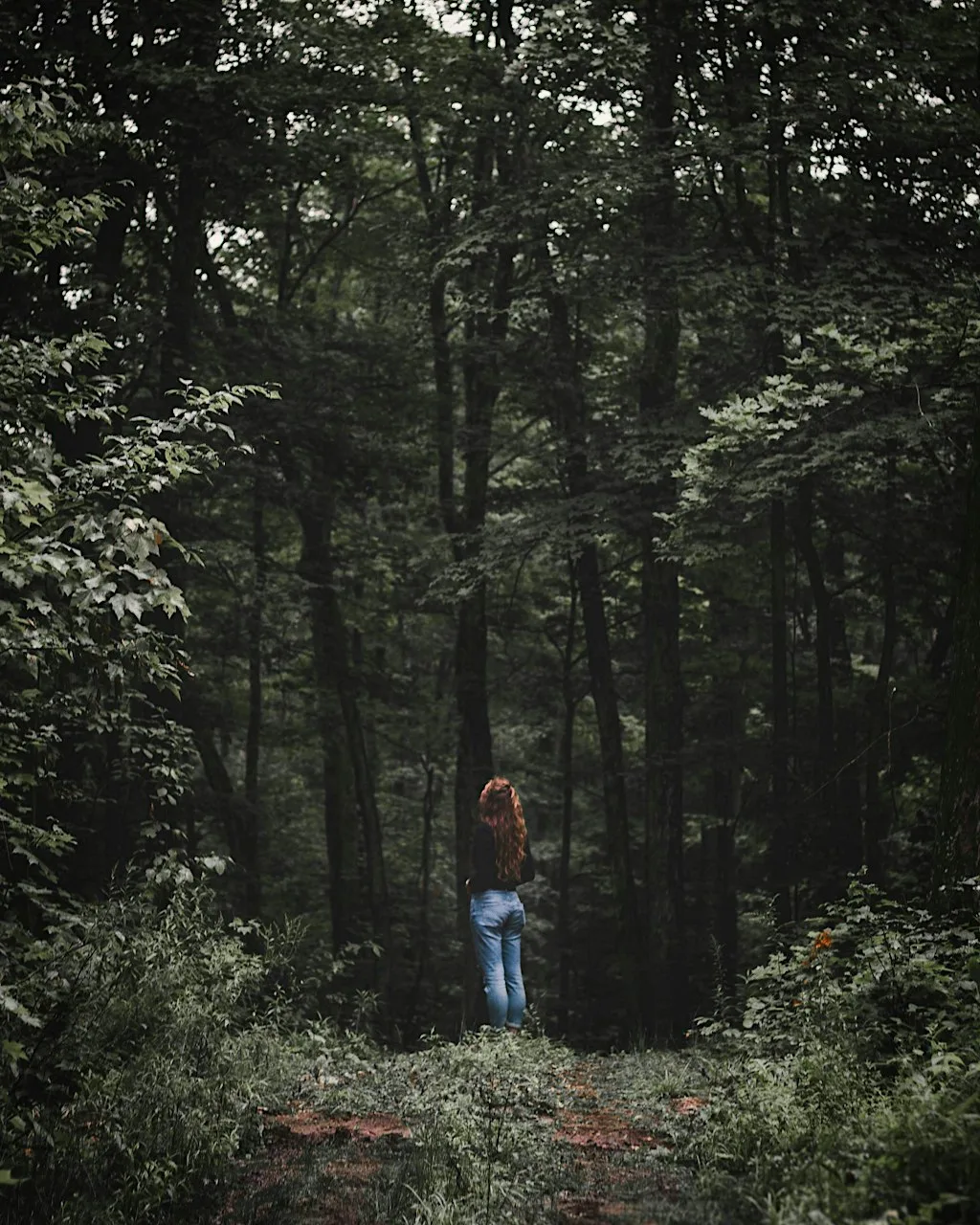 Forest Bathing & Wild Swim Chipping Norton