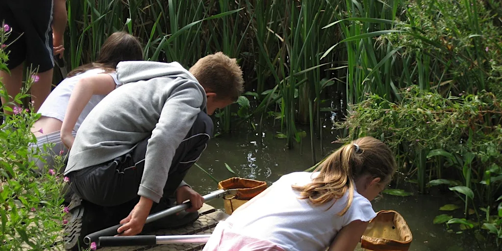 Fingringhoe wildlife safari at Fingringhoe Wick Nature Discovery Park