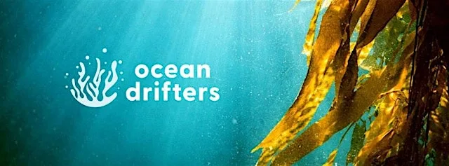 OCEAN DRIFTERS - Climate Week SUP Adventure Day with Citizen Science