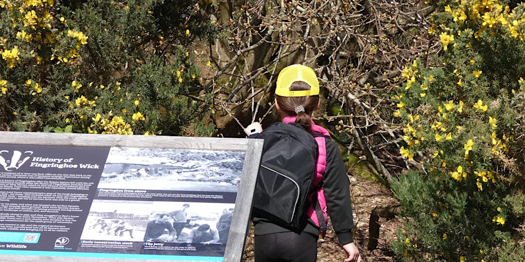 Fingringhoe wild code breakers at Fingringhoe Wick Nature Discovery Park