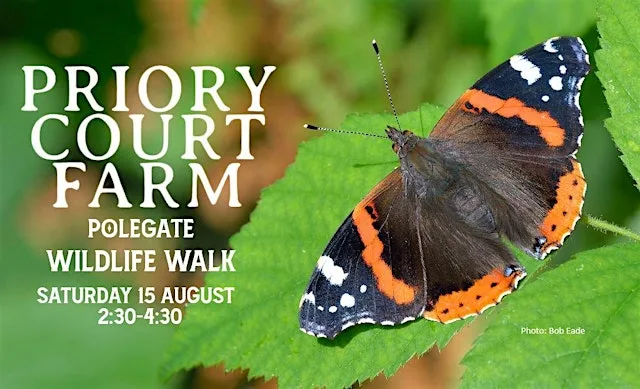 Summer Wildlife Walk at Priory Court Farm, Polegate at Priory Court Farm