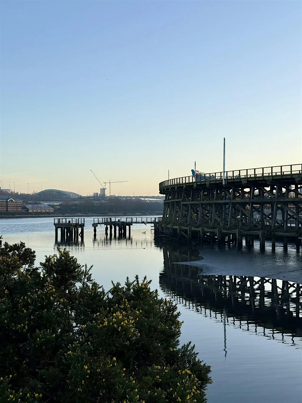 Birdwatch on the Staiths