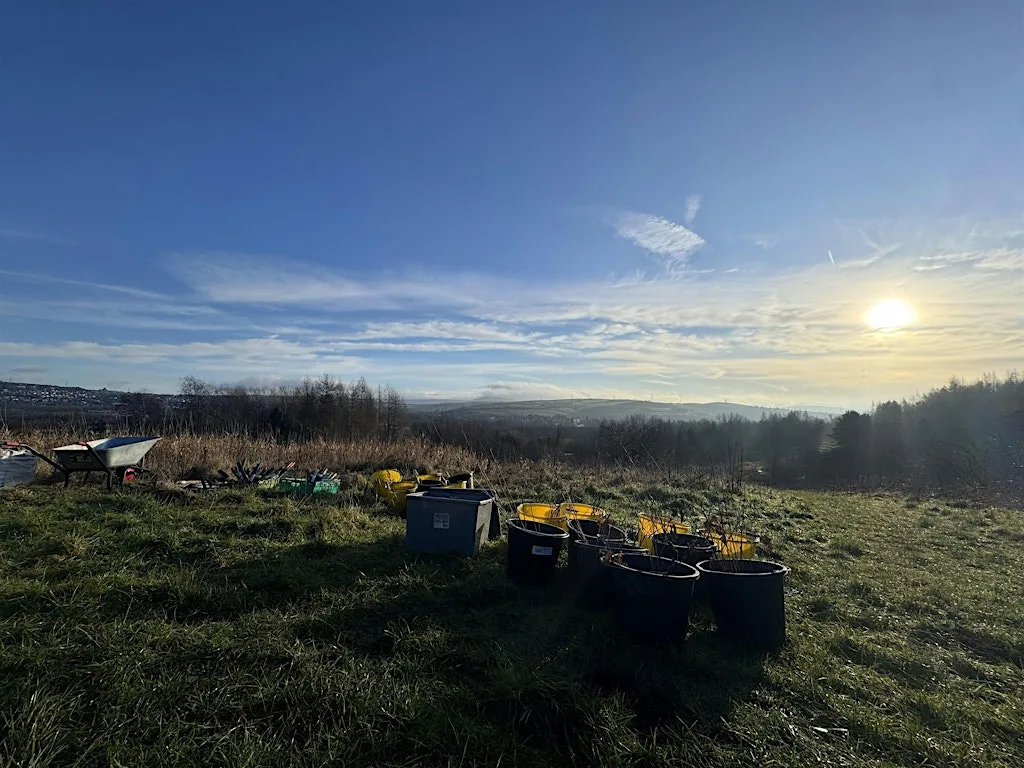 Citizen Forester Tree Maintenance at Tandle Hill, Oldham