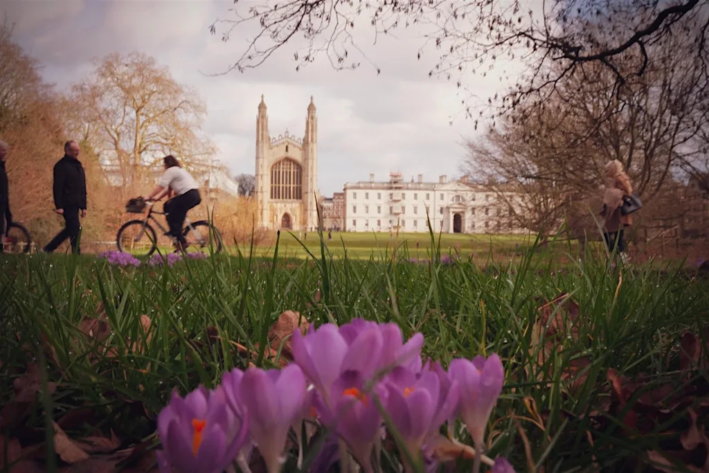 The Changing Seasons in Cambridge - CPS 26 Talks at Graduate by Hilton Cambridge