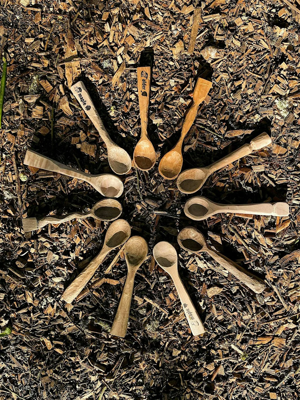 Woodland Spoon Carving by the Fire – 4hr Workshop in Stanmer Park at Stanmer Wellbeing Gardens