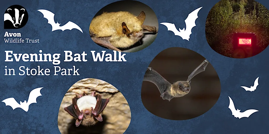 Youth Event: Evening Bat Walk in Stoke Park at Grow Wilder