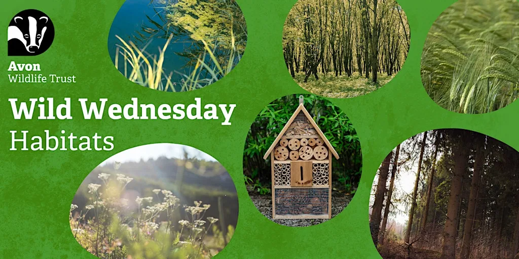 Youth Event: Wild Wednesdays - Habitats