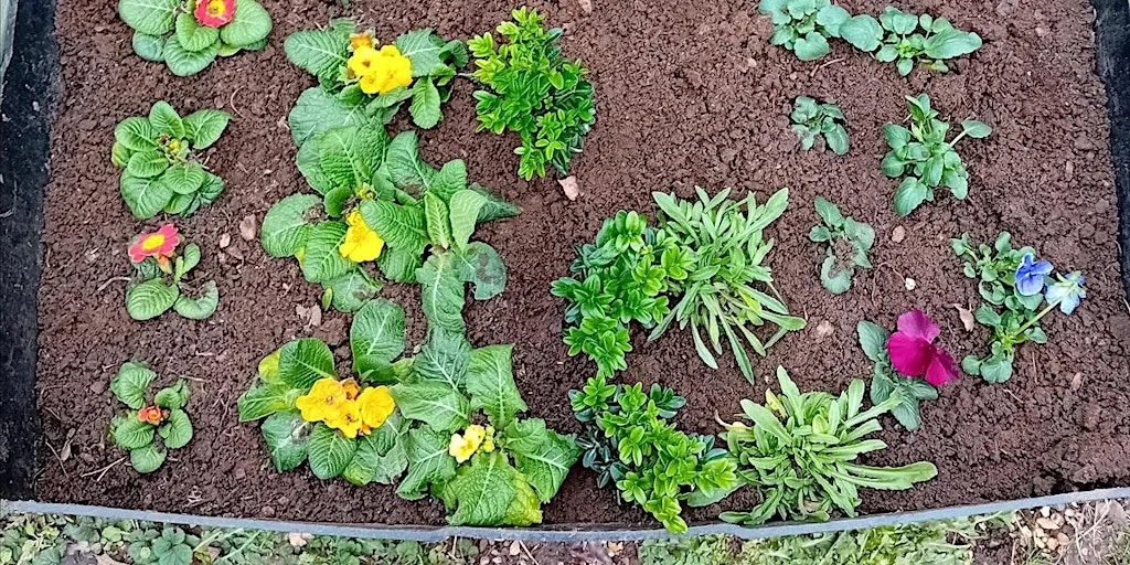 Family Growing, Nature Craft Homeschool Sessions at Memorial Park Community Garden