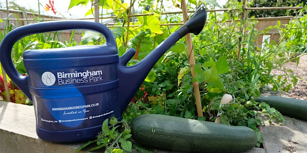 Birmingham Business Park Allotment Club July at Birmingham Business Park
