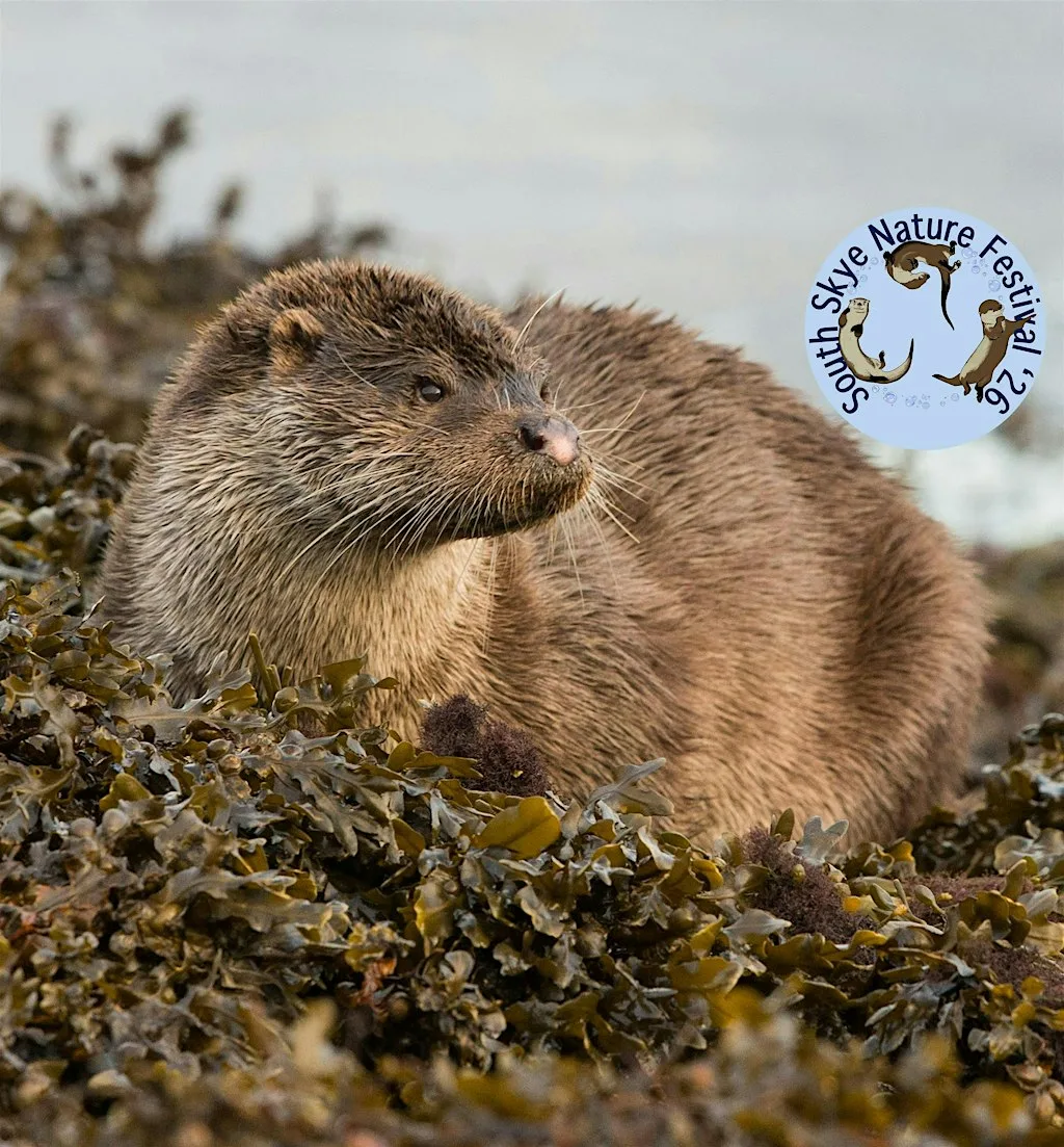 Otter Walk & Talk! (Saturday) at Camus Croise