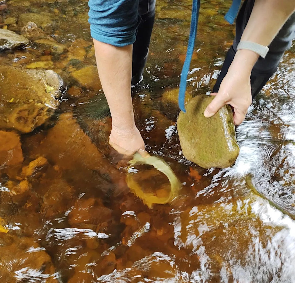 Extreme River Dipping for 8 to 12 year olds at Water of Leith Conservation Trust and Visitor Centre