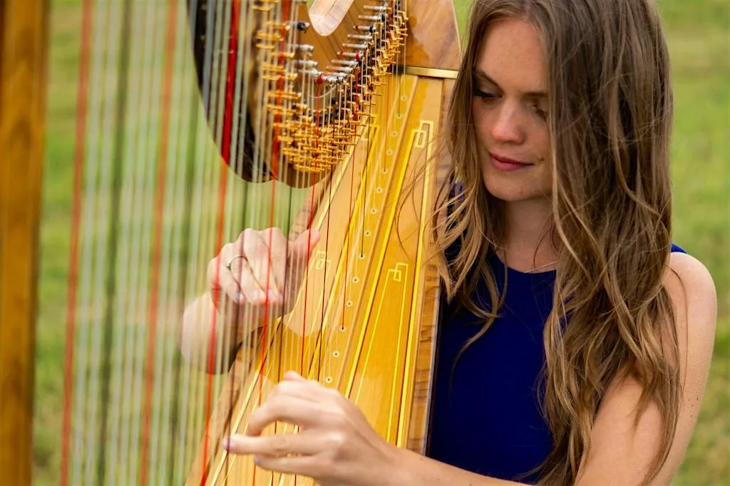 Imaginary Landscapes: A poetry and harp recital at The Portico Library