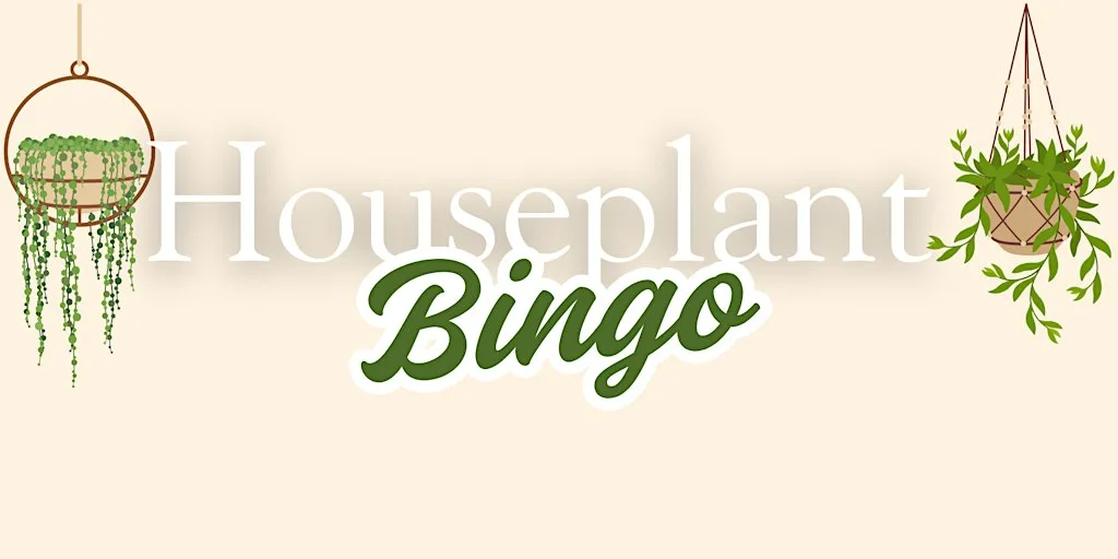 Houseplant Bingo October