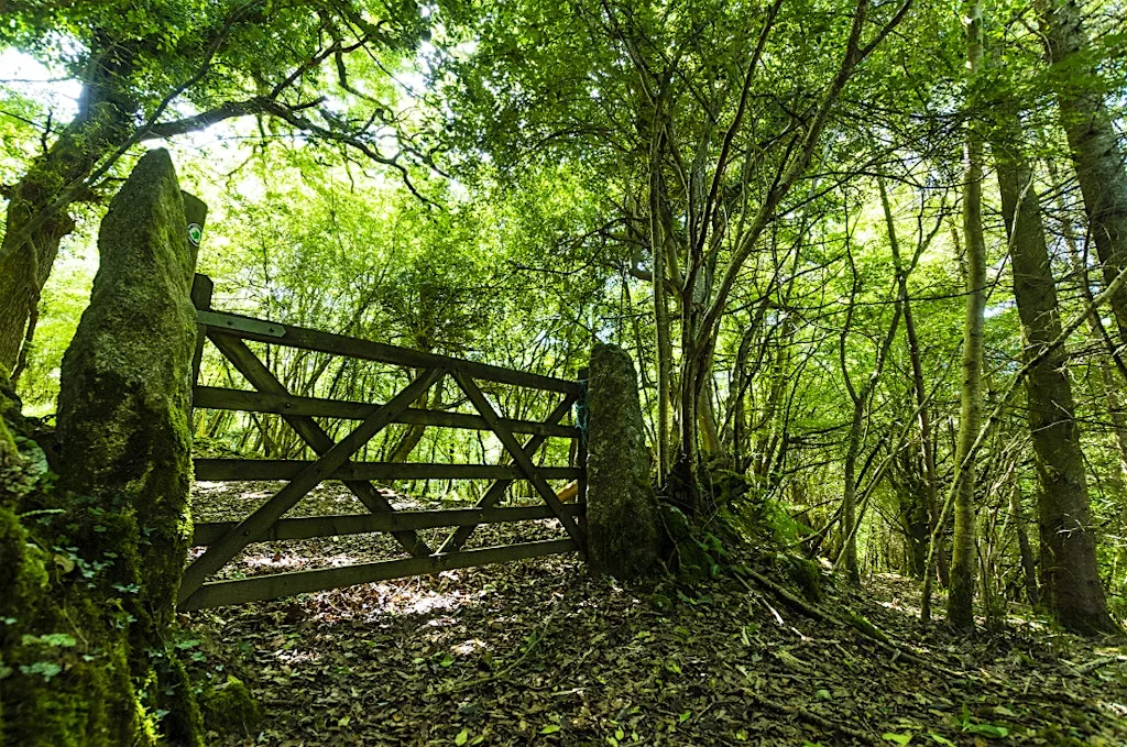Cornwall Wildlife Trust AGM 2026 (and optional Wildlife Walk)