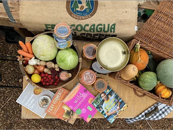 Fermenting Through the Seasons at Blackhills CSA, Werganrows Farm,