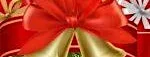 Christmas Party Night at Catshill Club