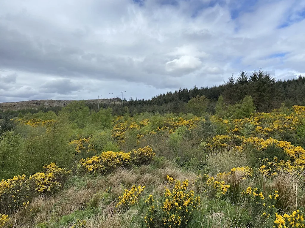 Broadford Community Woodland Biodiversity — session 1. at Broadford