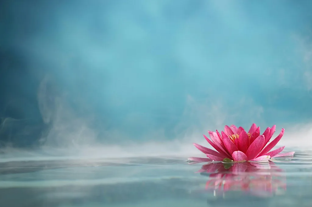Free Sri Chinmoy Meditation Class in Cambridge