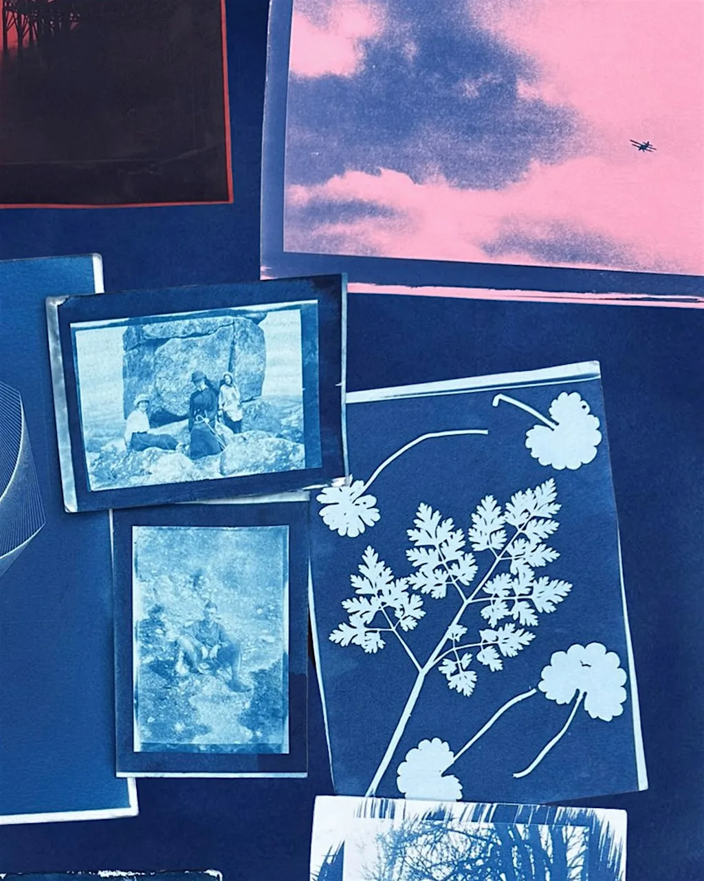 Cyanotype Workshop - August at Liberation Art Gallery