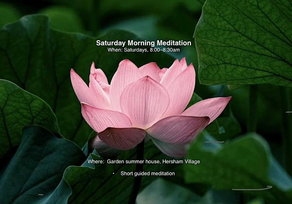 Saturday morning meditation meet