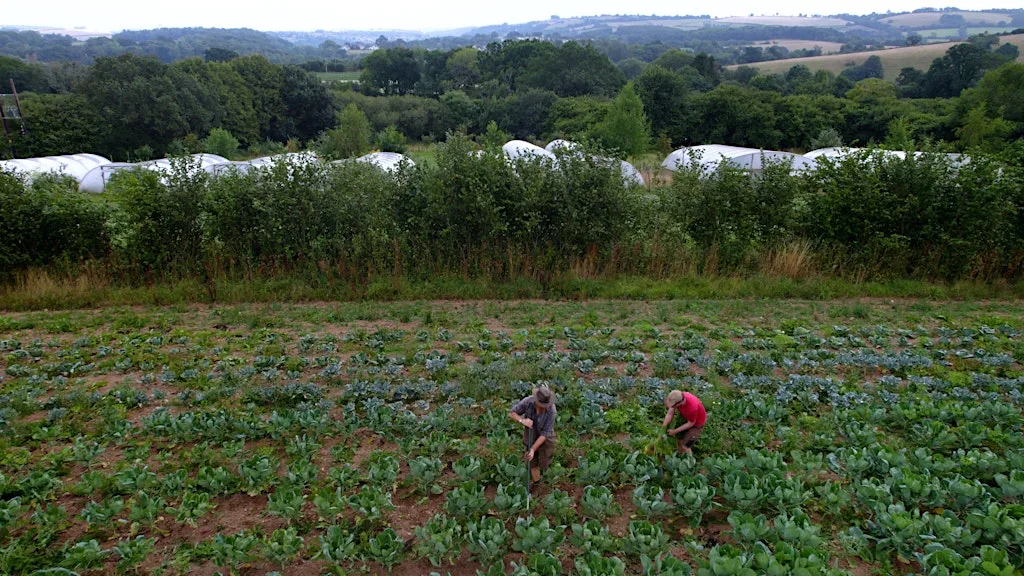 4-day Introduction to Biodynamics & Agroecology