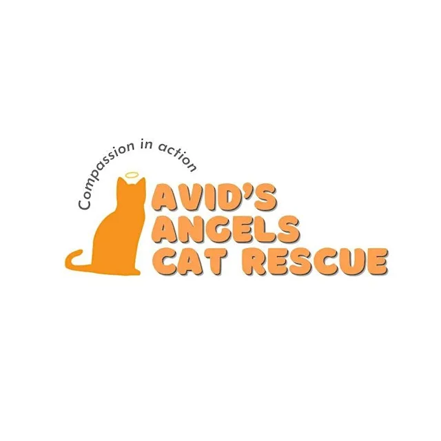 Avid's Angels Cat Rescue - Family Quiz Night at Astley Bridge Bowling Club