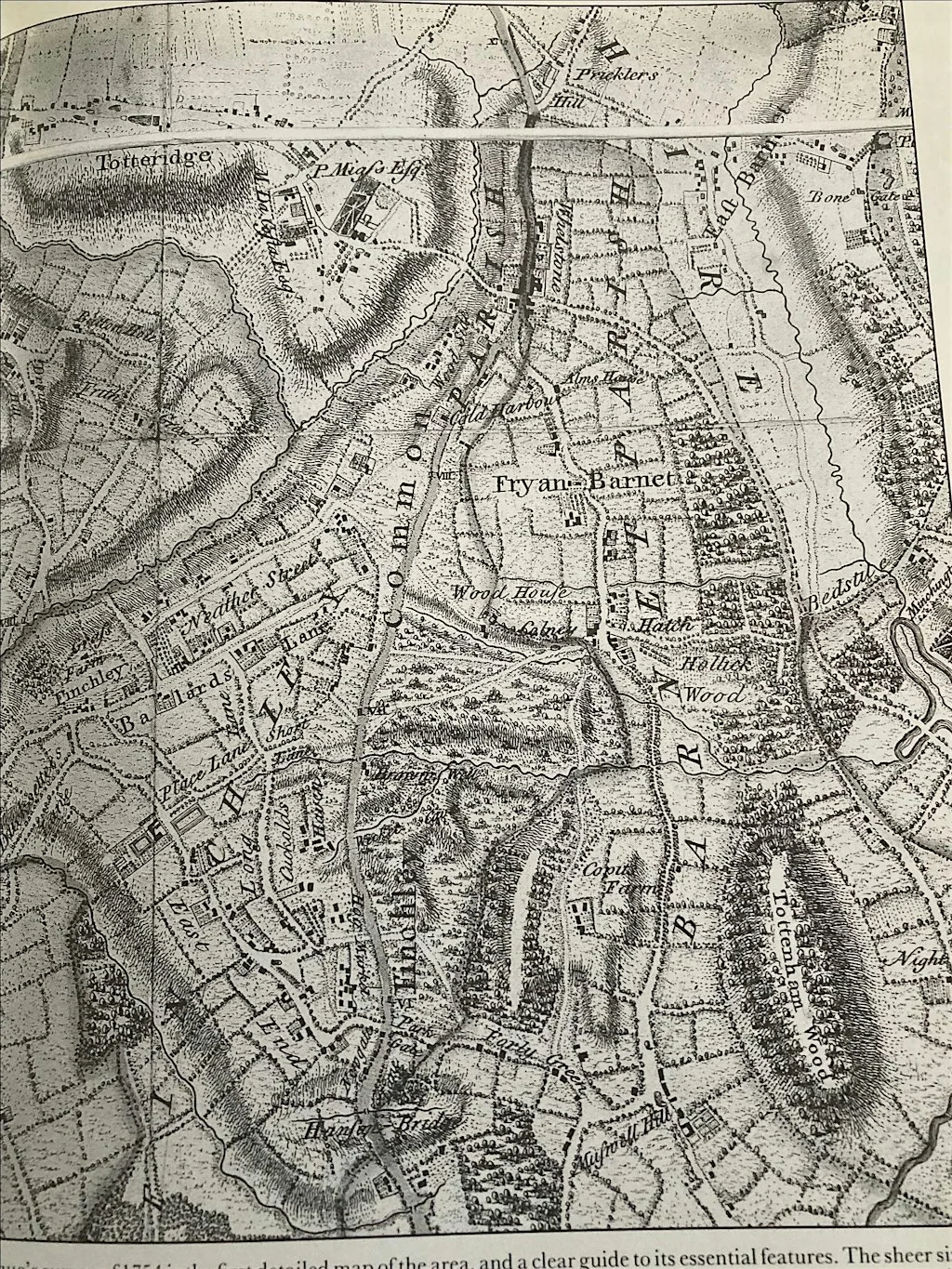 East Finchley: From Pig Markets to Pop