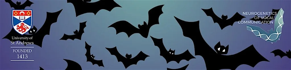 St Andrews Bat Walk
