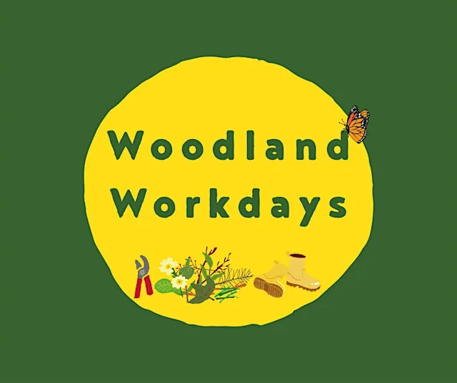 Woodland Workday at Nunroyd Park at Nunroyd Park