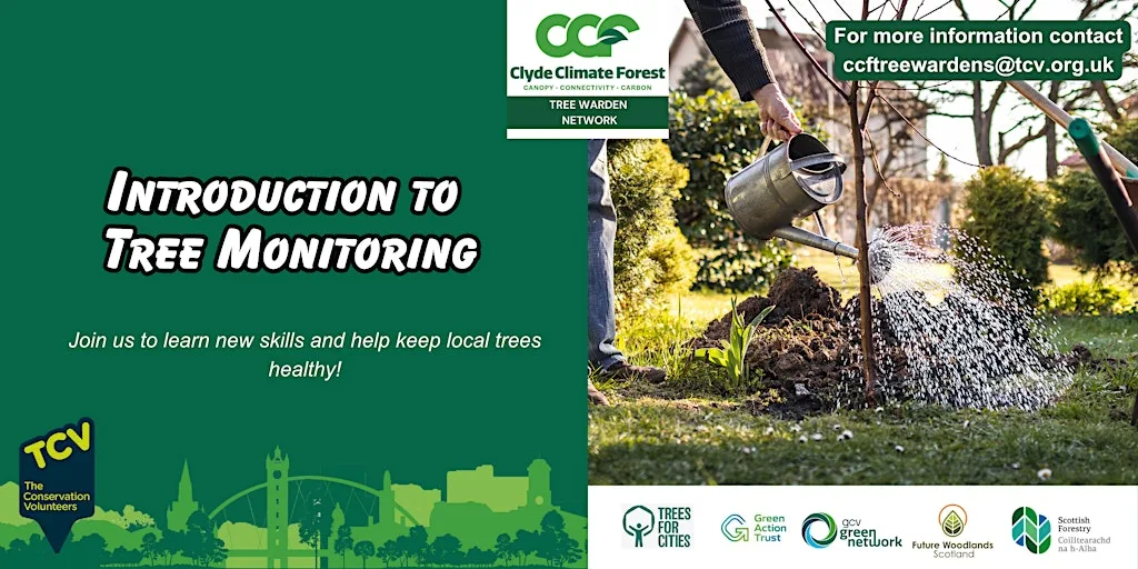 Introduction to Tree Monitoring in Glasgow with CCF Tree Wardens