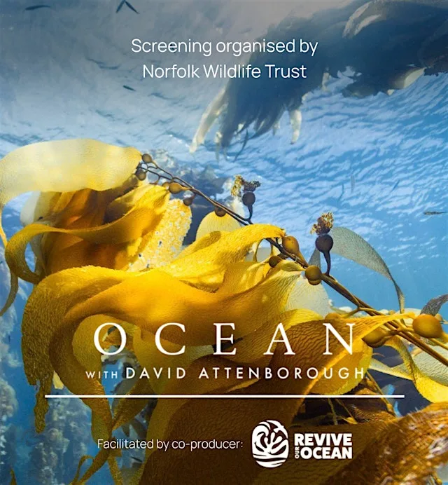Free film screening of Ocean at Cley Marshes Visitor Centre