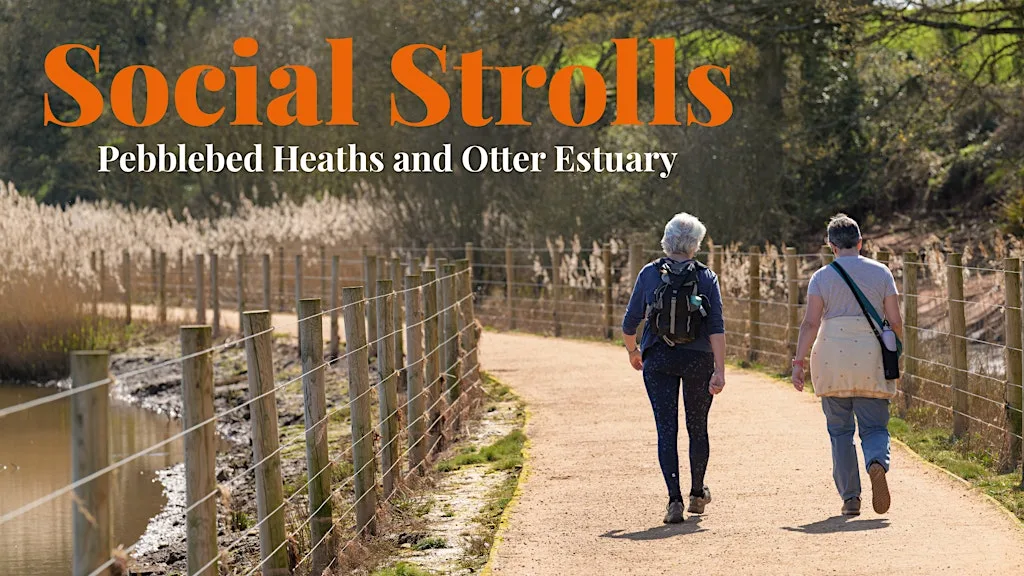 Social Stroll at Four Firs Car Park