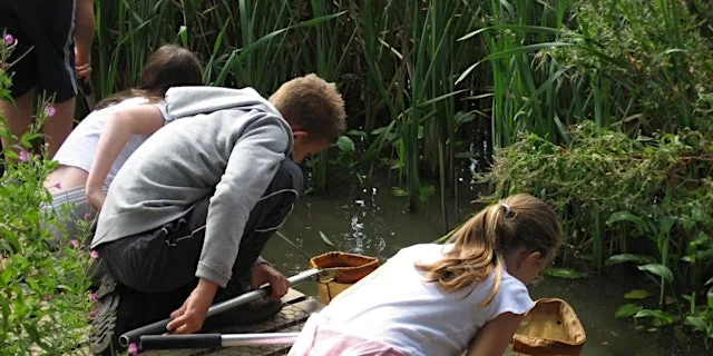 Grange Farm pond dipping at Grange Farm Centre