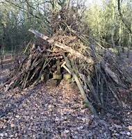 Belfairs den building adults only at Essex Wildlife Trust Belfairs Nature Discovery Centre