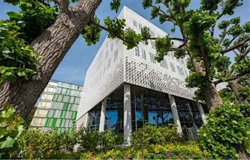 July Educational Seminar at Elm House, University of Brighton