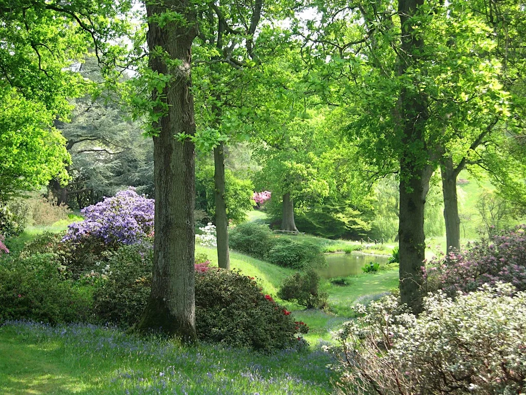 Guided Fungi Walk - High Beeches Garden , Handcross (100337035) at High Beeches Gardens