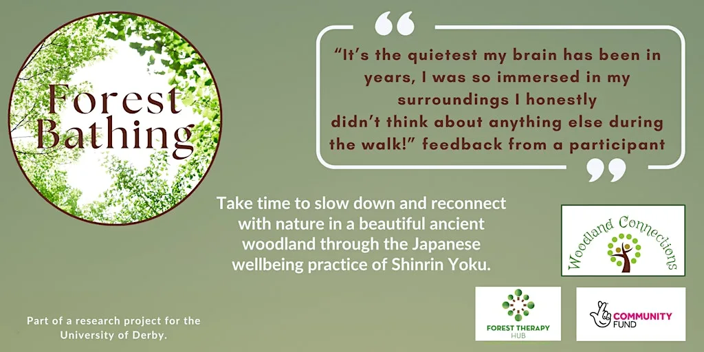 Forest Bathing - Mid Week Reset at Shining Cliff Woods