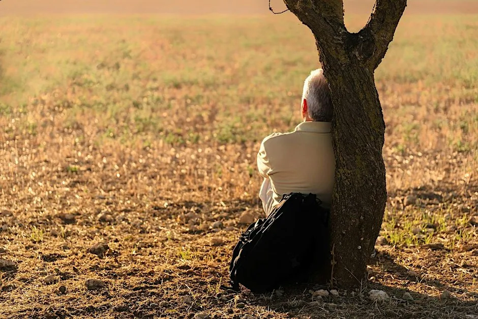 Weekend Wellness: Forest Bathing in the Blean at West Blean and Thornden Woods