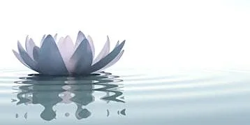 Meditation Session at Troon Way Business Centre